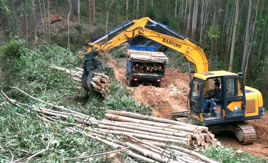 寶鼎多功能小型履帶挖掘機(jī)