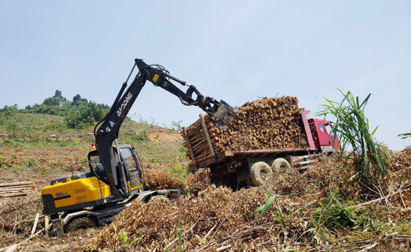 寶鼎輪式抓木機(jī)95車(chē)型.jpg