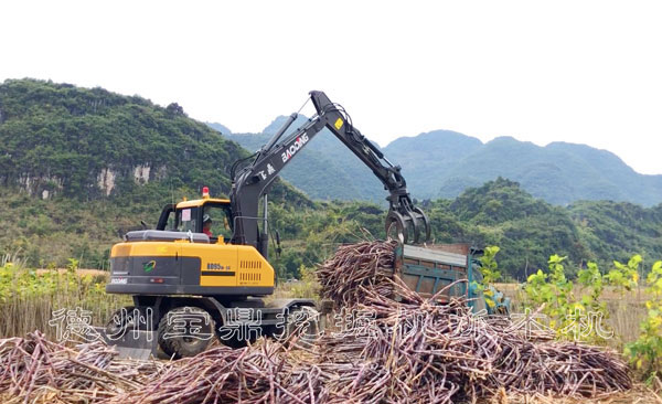 寶鼎抓木機甘蔗裝車.jpg