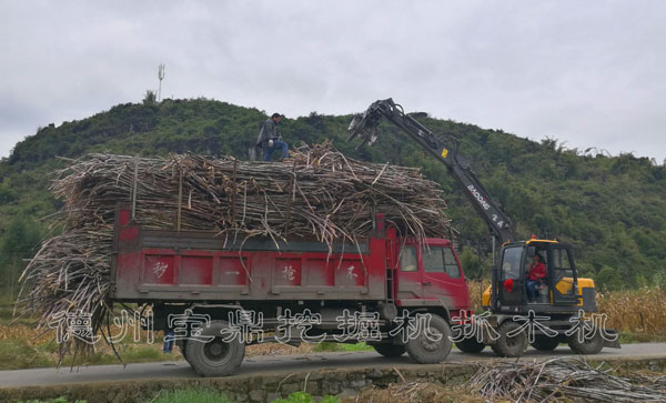 寶鼎95輪式抓木機甘蔗裝車.jpg