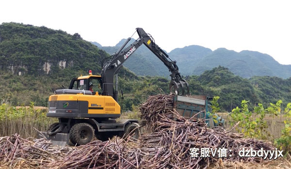 寶鼎95抓木機甘蔗裝車.jpg