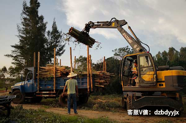 寶鼎抓木機(jī)廣西市場(chǎng)作業(yè).jpg