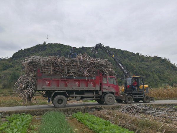 寶鼎廣西輪式抓木機.jpg