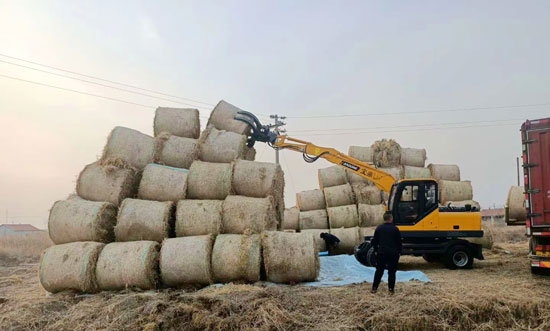 寶鼎輪式挖掘機抓草機.jpg