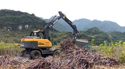 桉樹種植受阻，廣西廣東輪式抓木機車主何去何從？