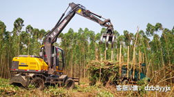 寶鼎抓木機廠家高端輪式抓木機車型